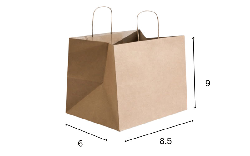 Paper Carry Bag